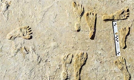 کشف قدیمی‌ ترین ردپای انسان در آمریکا متعلق به 23 هزار سال پیش